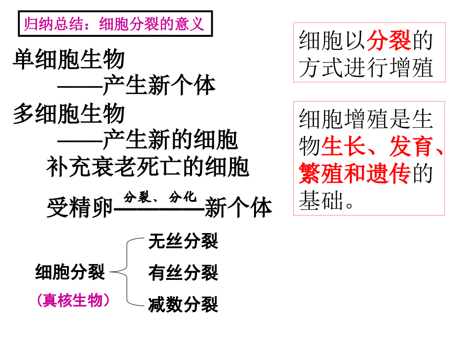 五章节一节细胞增殖一章节时扬州市新华中学蒋选荣_第4页