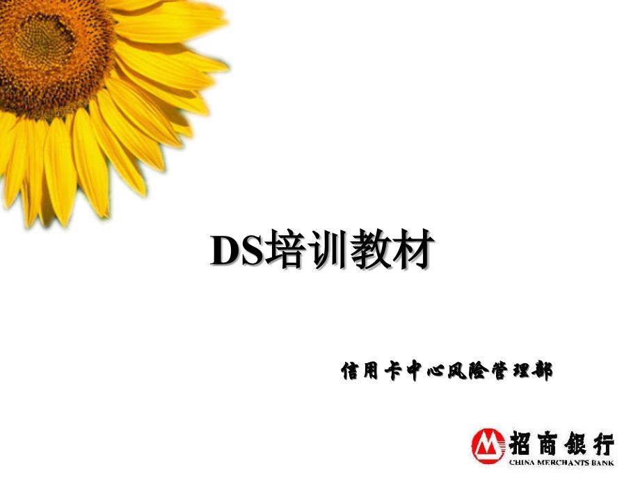 DS征信培训教材FOR02151_第1页