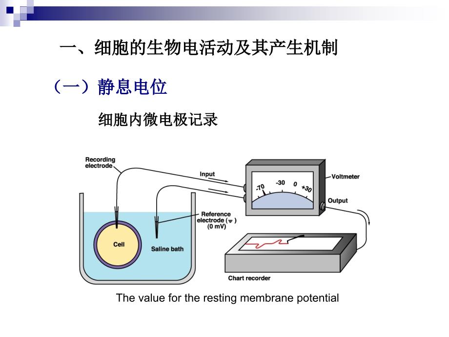 《生理学》细胞的基本功能——3细胞的电活动精品_第1页