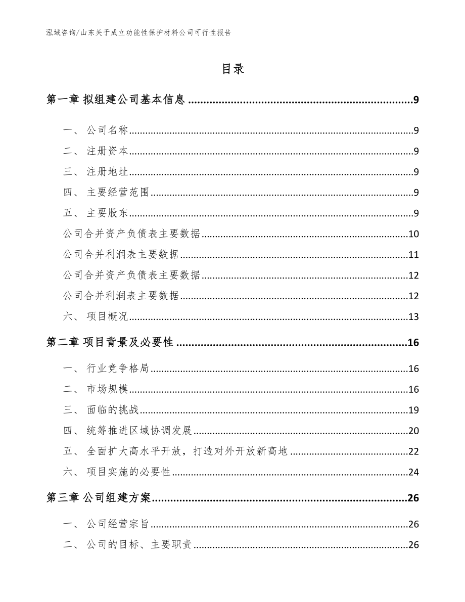 山东关于成立功能性保护材料公司可行性报告_第2页