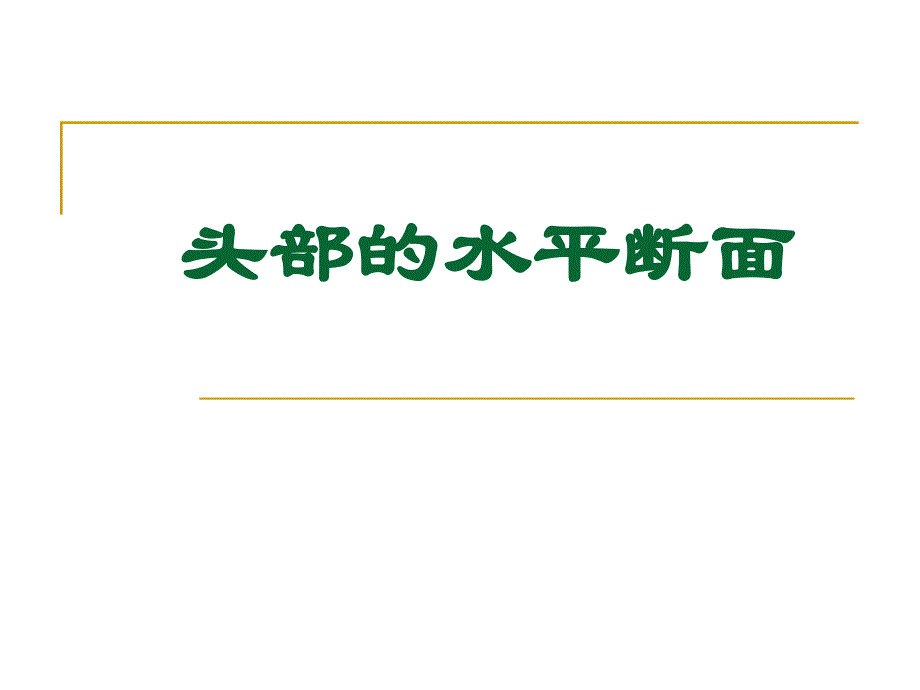 头部的水平断面课件.ppt_第1页