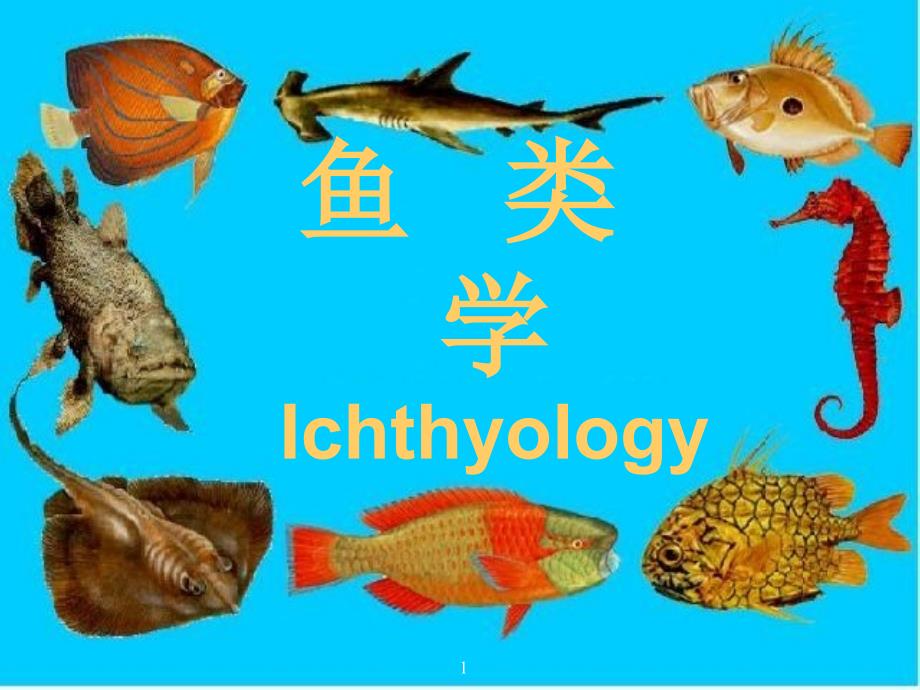 鱼类学Ichthyologyppt课件_第1页