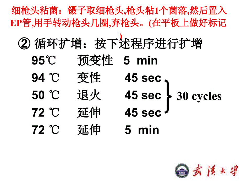 分子生物学实验课件：6重组克隆子的鉴定_第4页