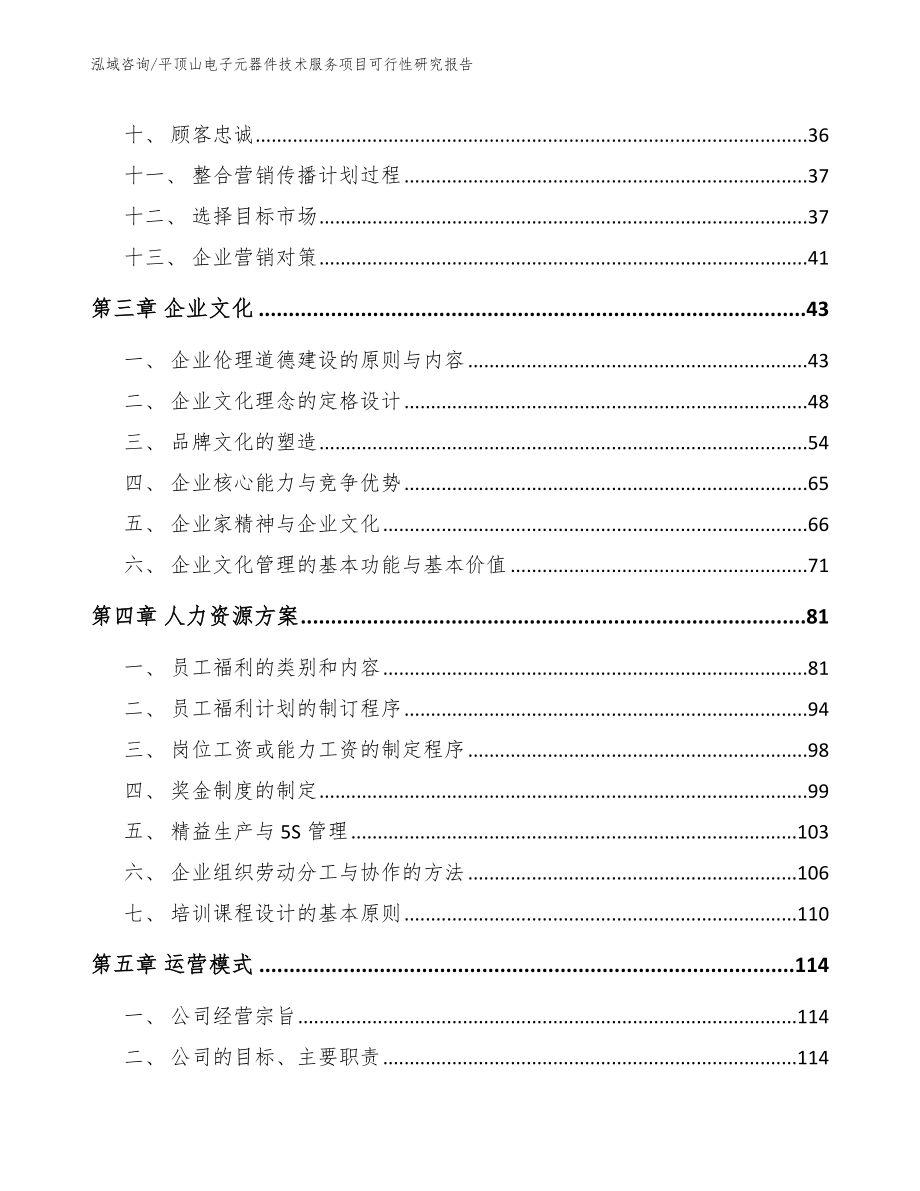 平顶山电子元器件技术服务项目可行性研究报告（范文模板）_第3页