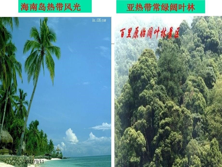 北方地区和南方地区差异_第5页