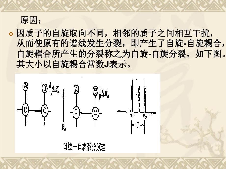 《核磁共振》PPT课件.ppt_第5页