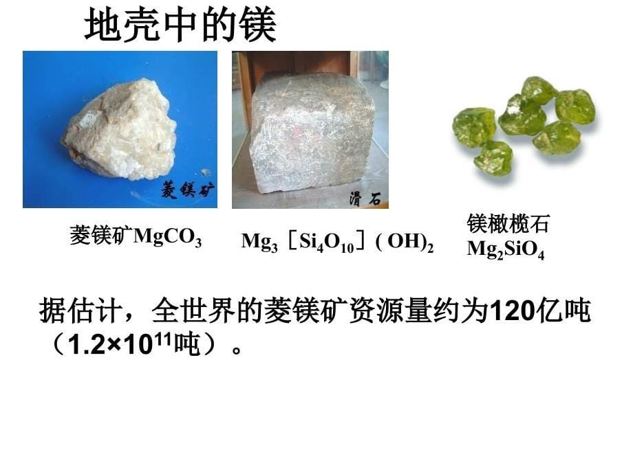 苏教版必修1专题2第二单元_第5页