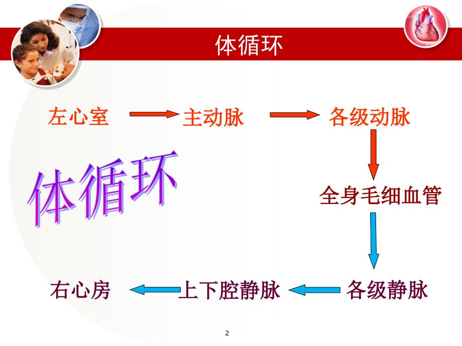 血液循环的路线ppt参考课件_第2页