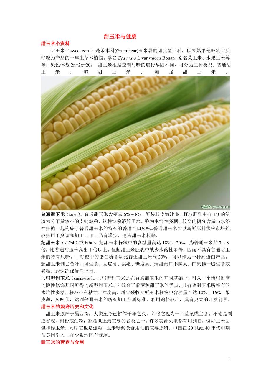 甜玉米与健康_第1页
