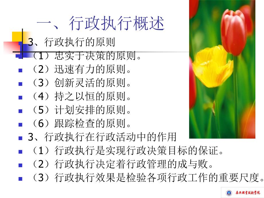 行政管理行政执行（PPT 45页）_第4页