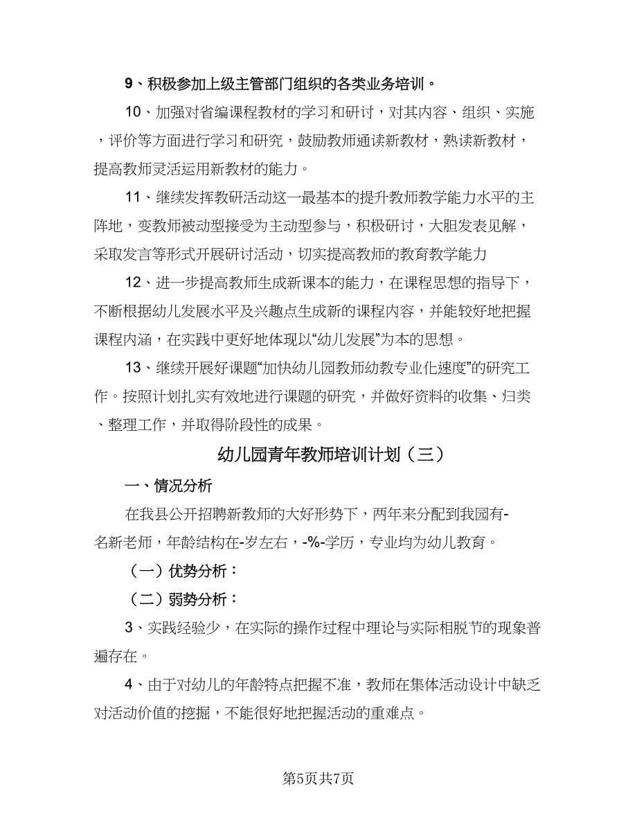 幼儿园青年教师培训计划（三篇）.doc_第5页