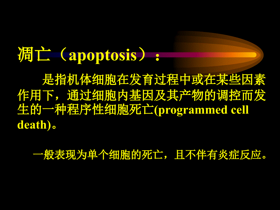 讲座apoptosis1ppt课件_第2页