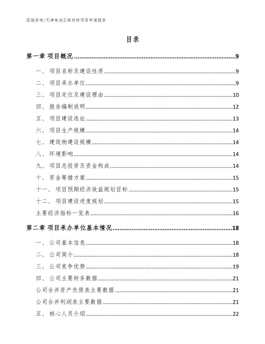 天津电池正极材料项目申请报告（模板）_第2页