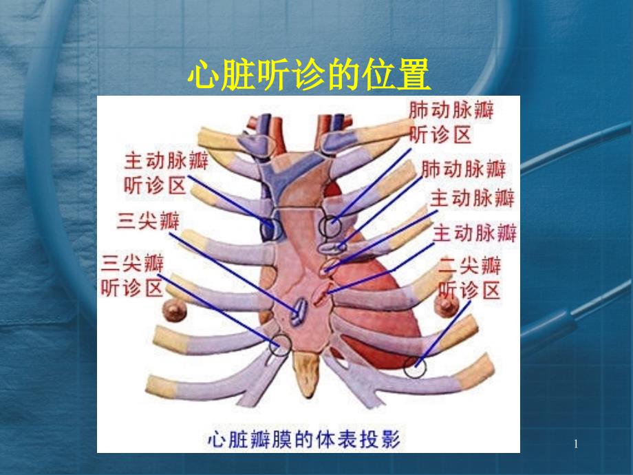 心脏听诊课件_第1页