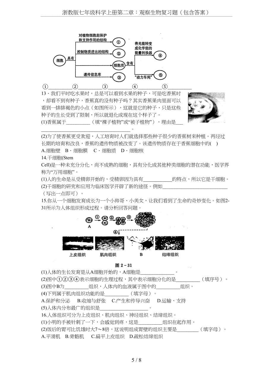 浙教版七年级科学上册第二章：观察生物复习题(包含答案)(DOC 8页)_第5页