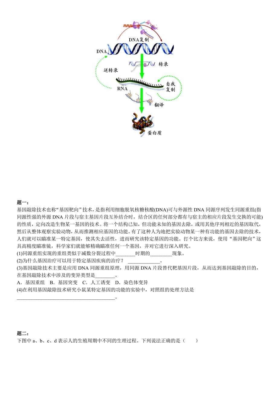 基因控制蛋白质的合成习题及答案详解_第5页