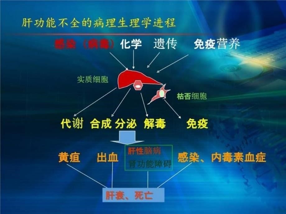 围手术期肝功能保护复习课程_第5页