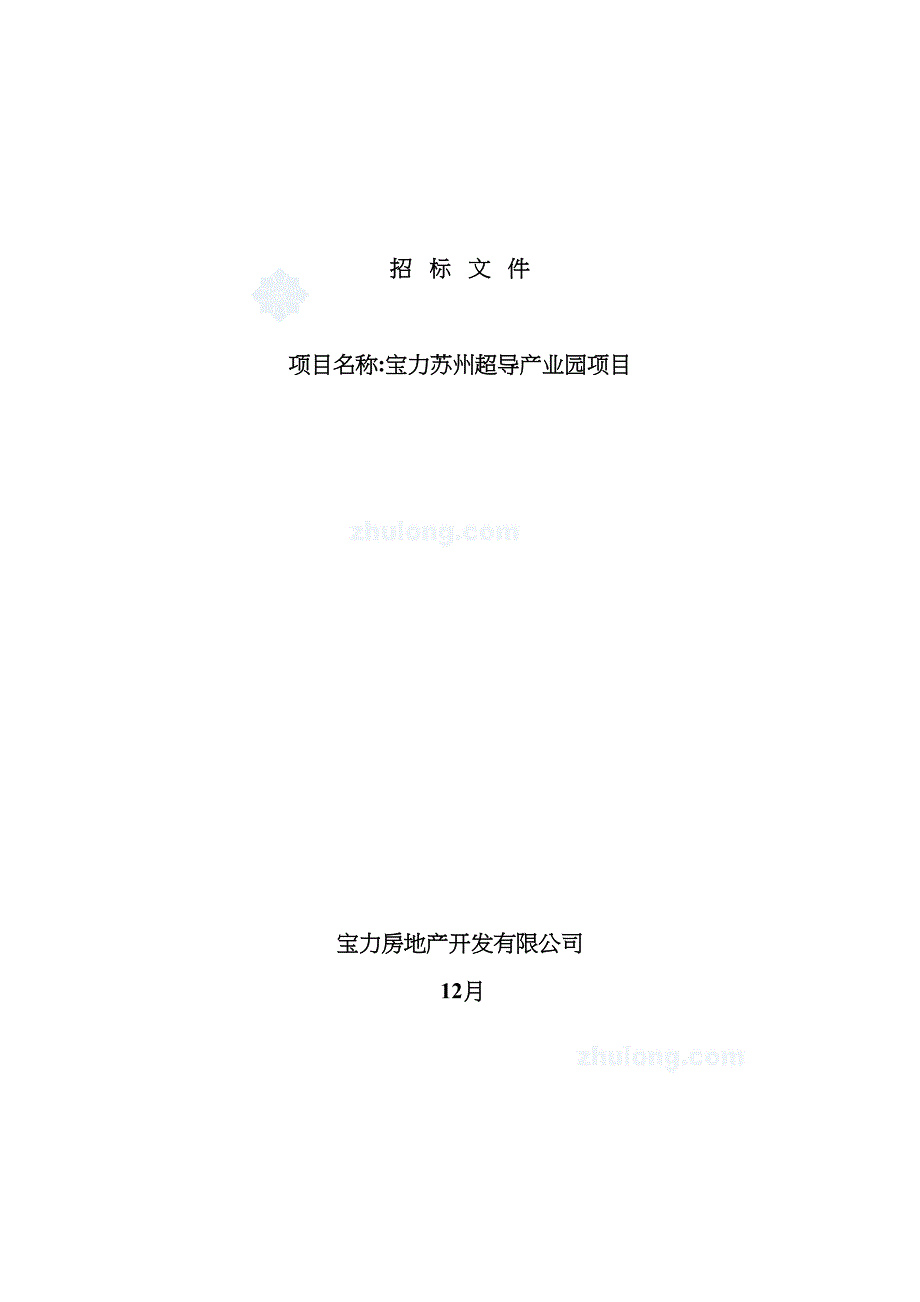 产业园项目招标文件_第2页