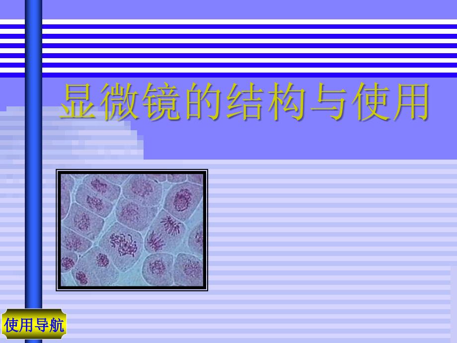 生物显微镜的结构与使用.ppt_第1页