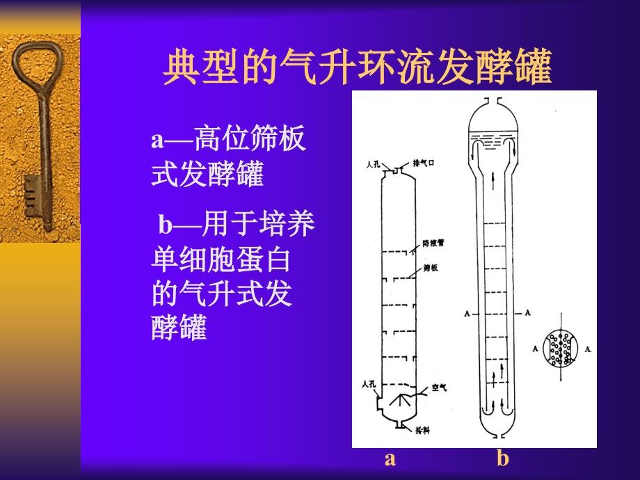 气升式发酵罐ALR_第2页