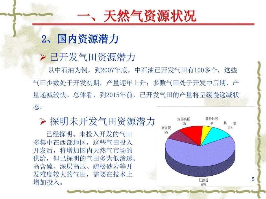 我国天然气发展状况_第5页