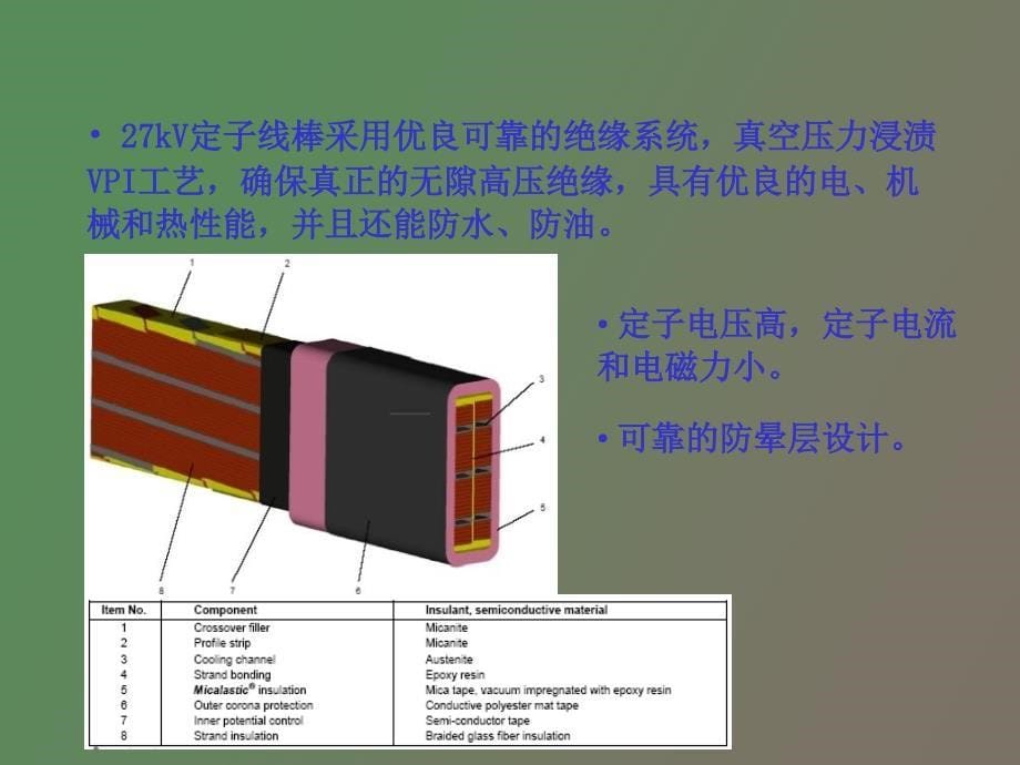 百万级二极发电机专题介绍_第5页