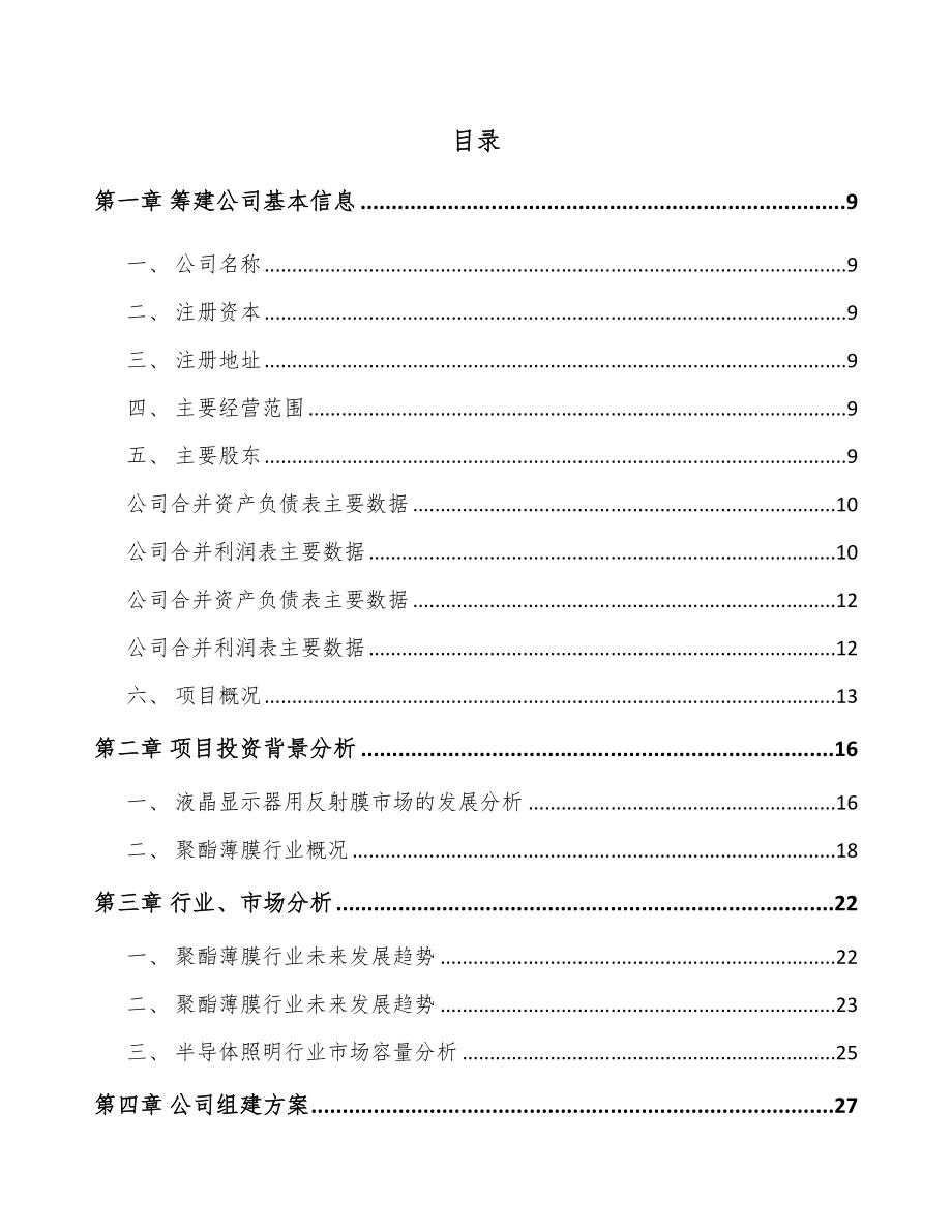 甘肃关于成立功能膜公司可行性研究报告_第2页