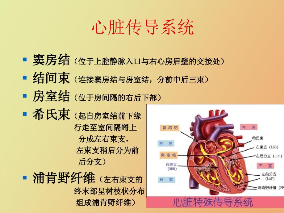 心脏传导阻滞及麻醉处理王明德_第2页