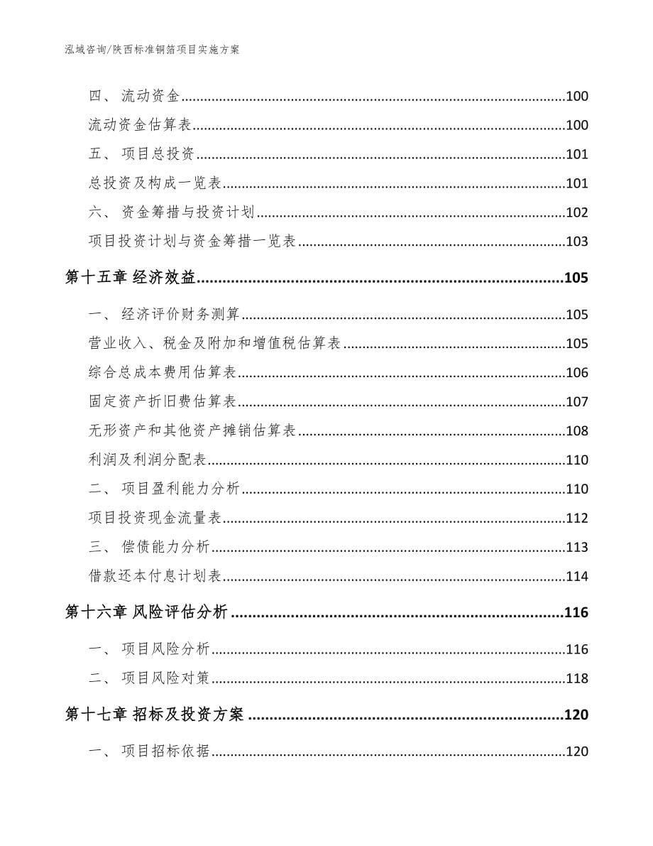 陕西标准铜箔项目实施方案模板参考_第5页