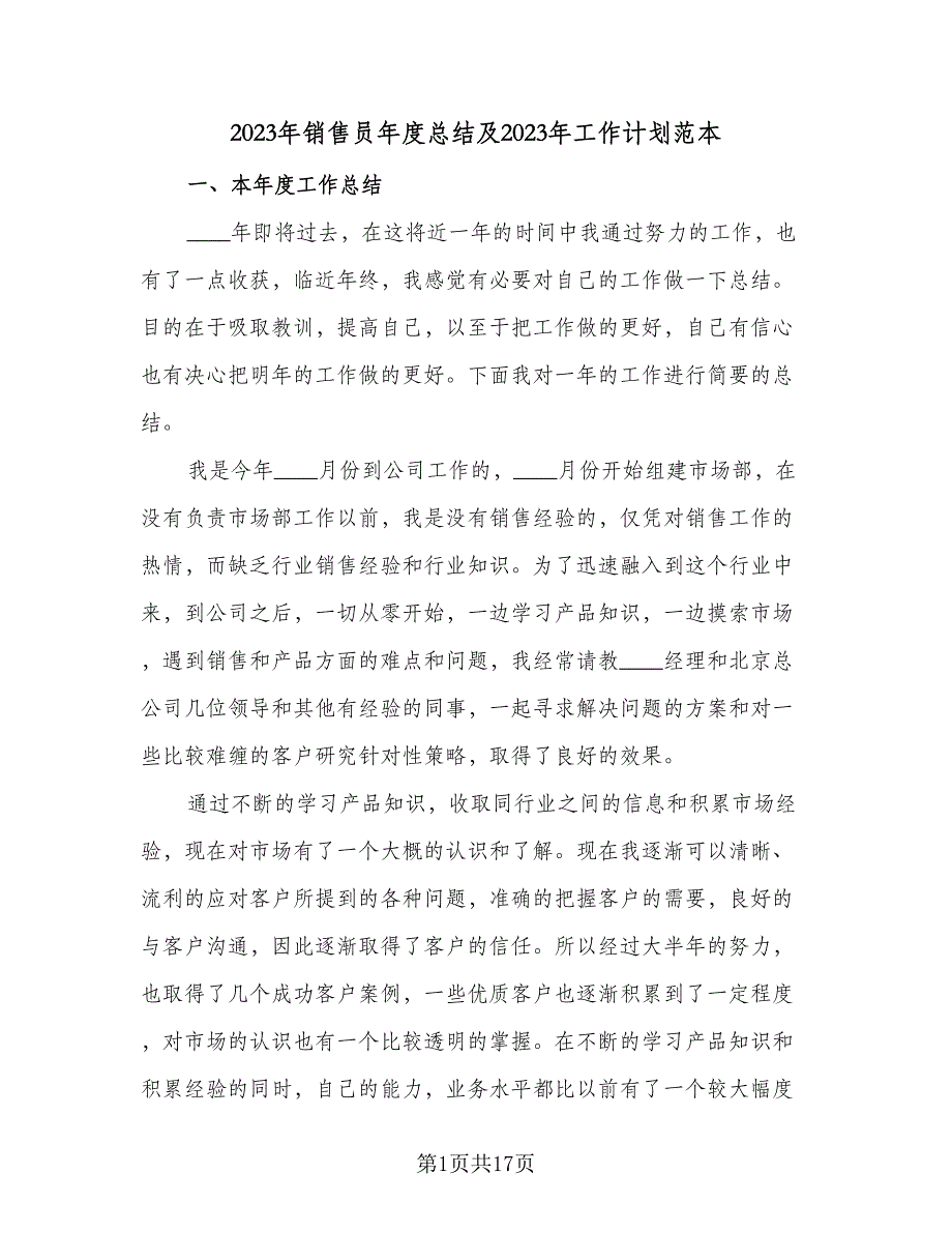 2023年销售员年度总结及2023年工作计划范本（2篇）.doc_第1页