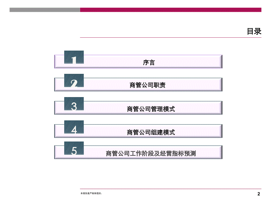 新世纪商管公司运营架构方案_第2页