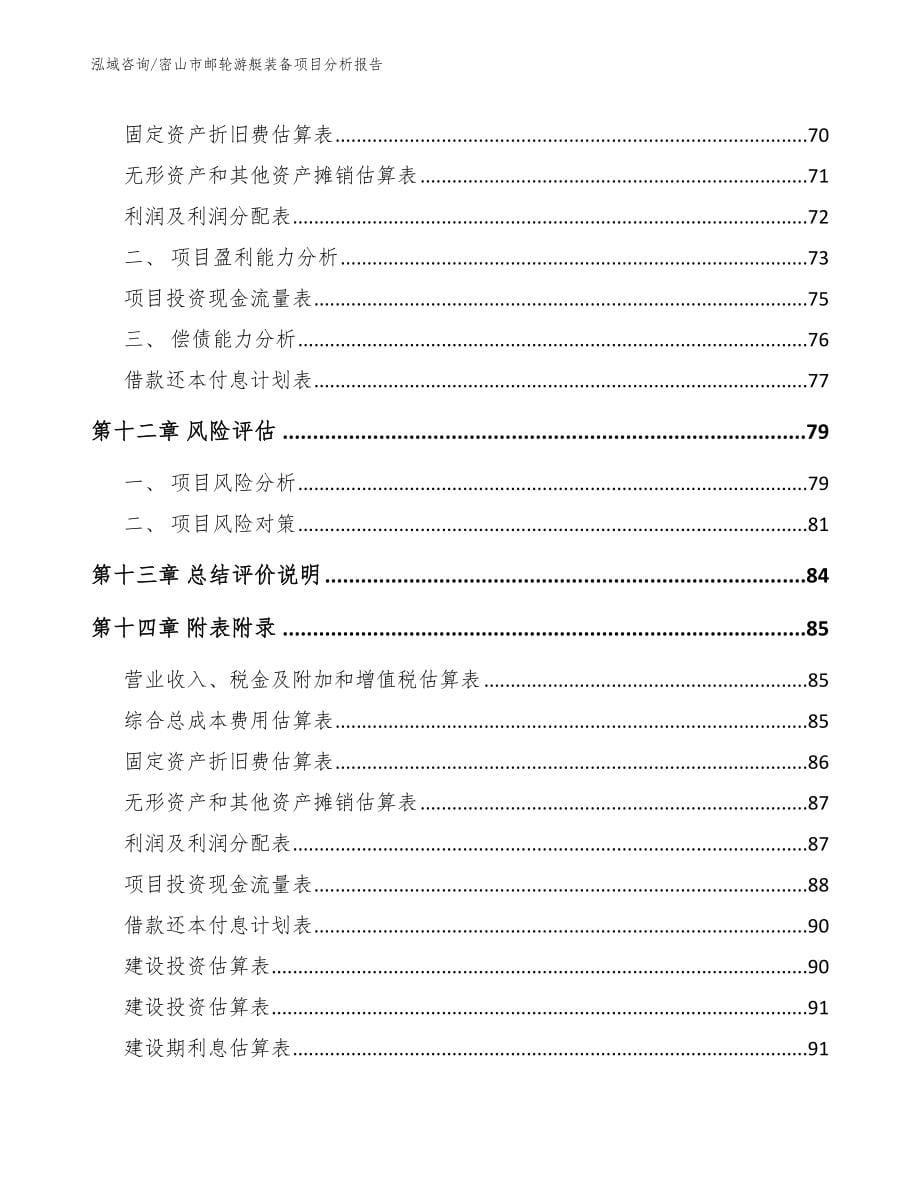 密山市邮轮游艇装备项目分析报告_参考模板_第5页