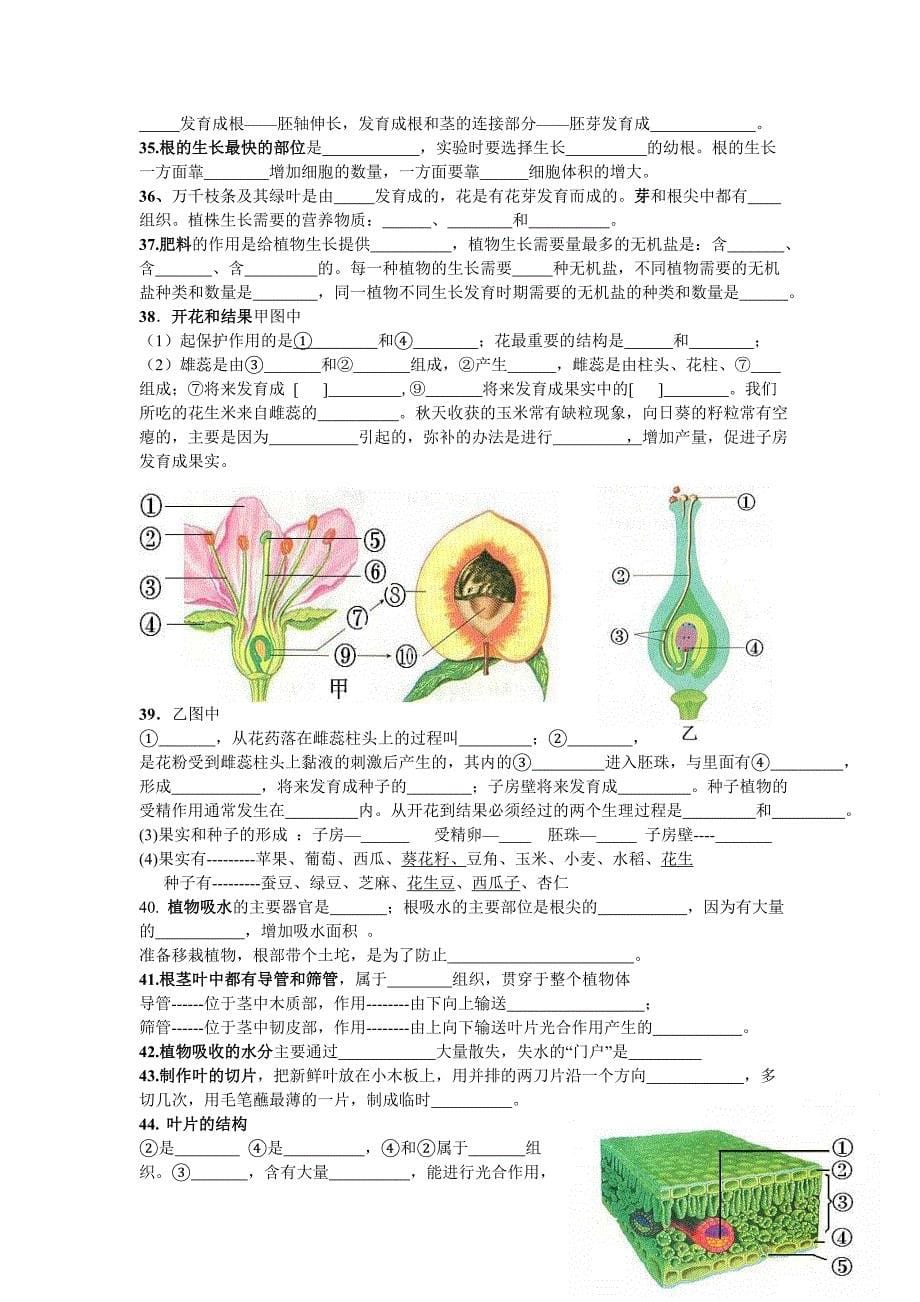 七年级上册生物复习题_第5页