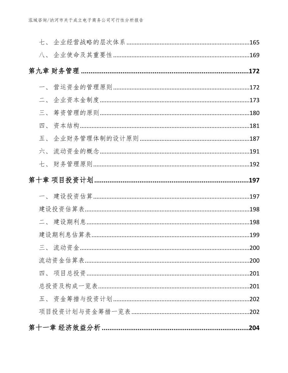 讷河市关于成立电子商务公司可行性分析报告【模板】_第5页