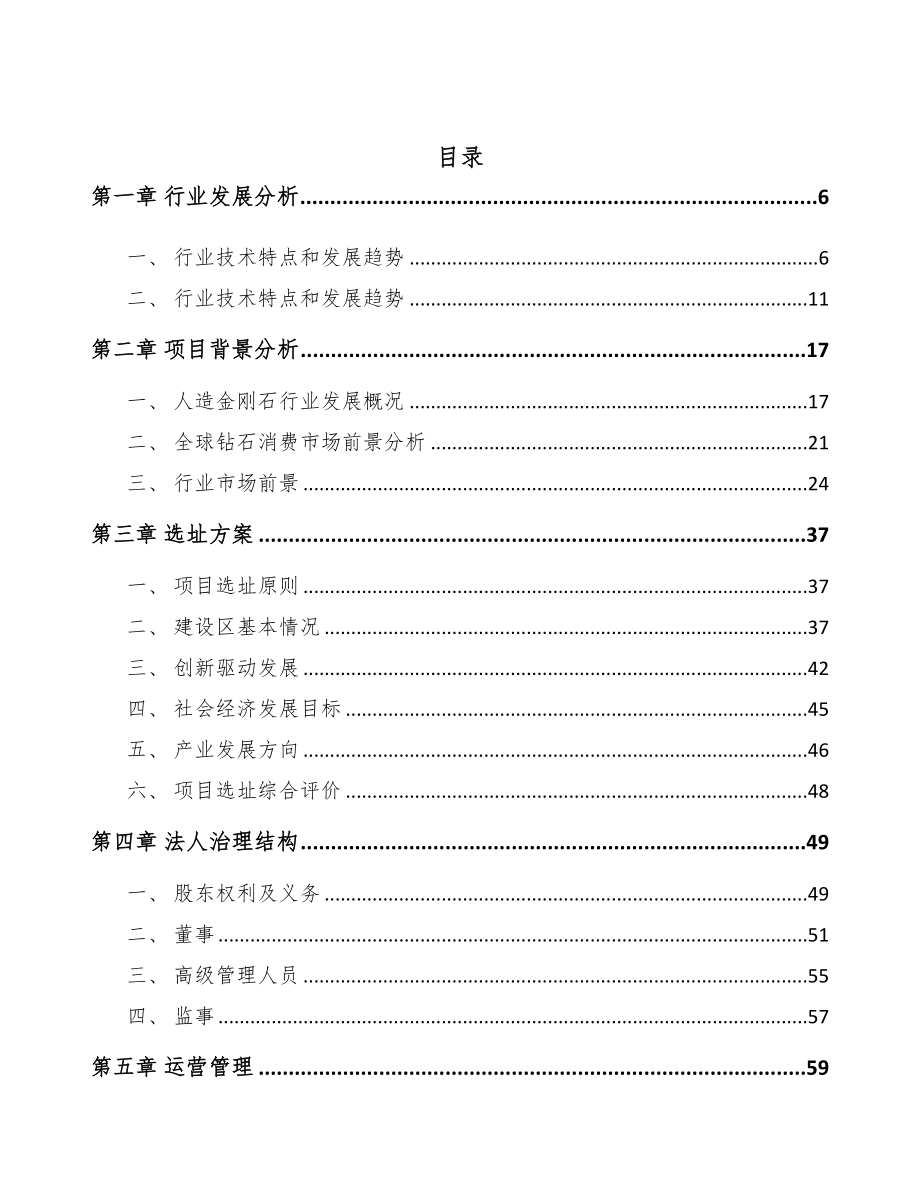 重庆金刚石项目可行性研究报告(DOC 89页)_第2页