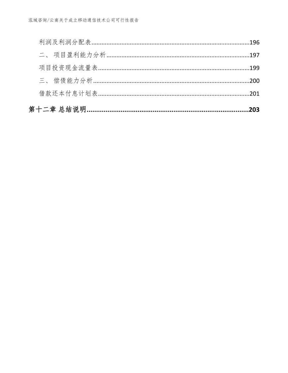 云南关于成立移动通信技术公司可行性报告_参考范文_第5页