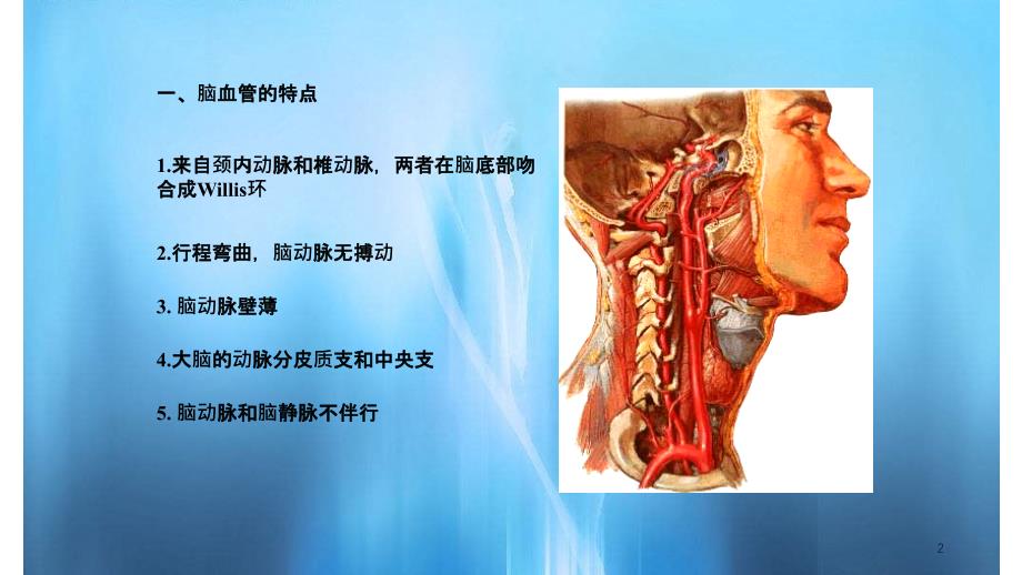 脑血管解剖课件2实用课件_第2页