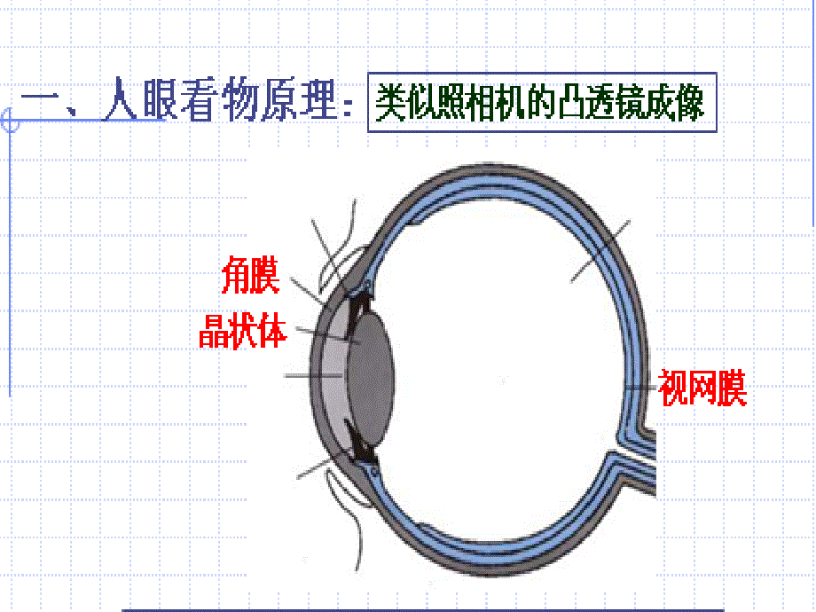 神奇的眼睛ppt课件_第4页