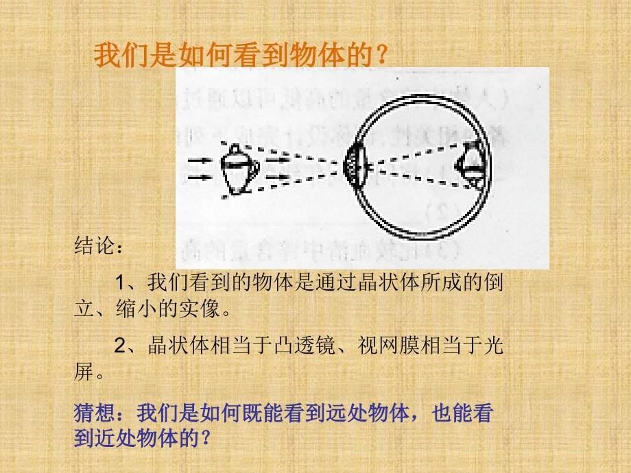 神奇的眼睛ppt课件_第5页