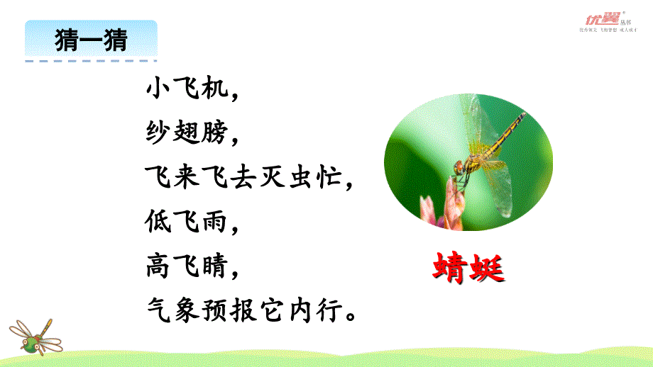 上课课件4昆虫备忘录_第2页