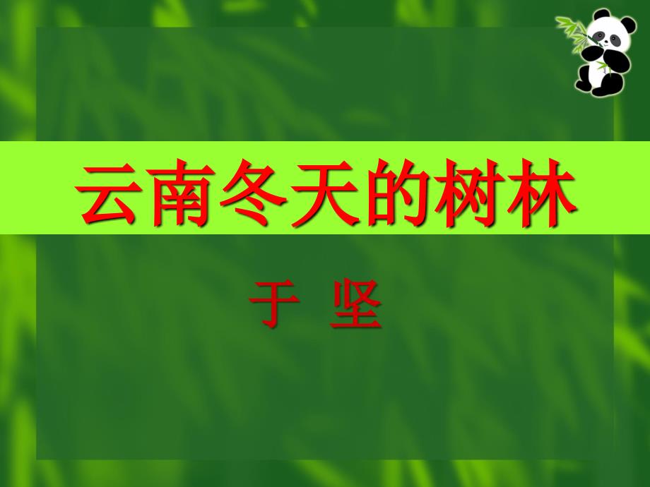 云南冬天的树林(李秋华).ppt_第1页