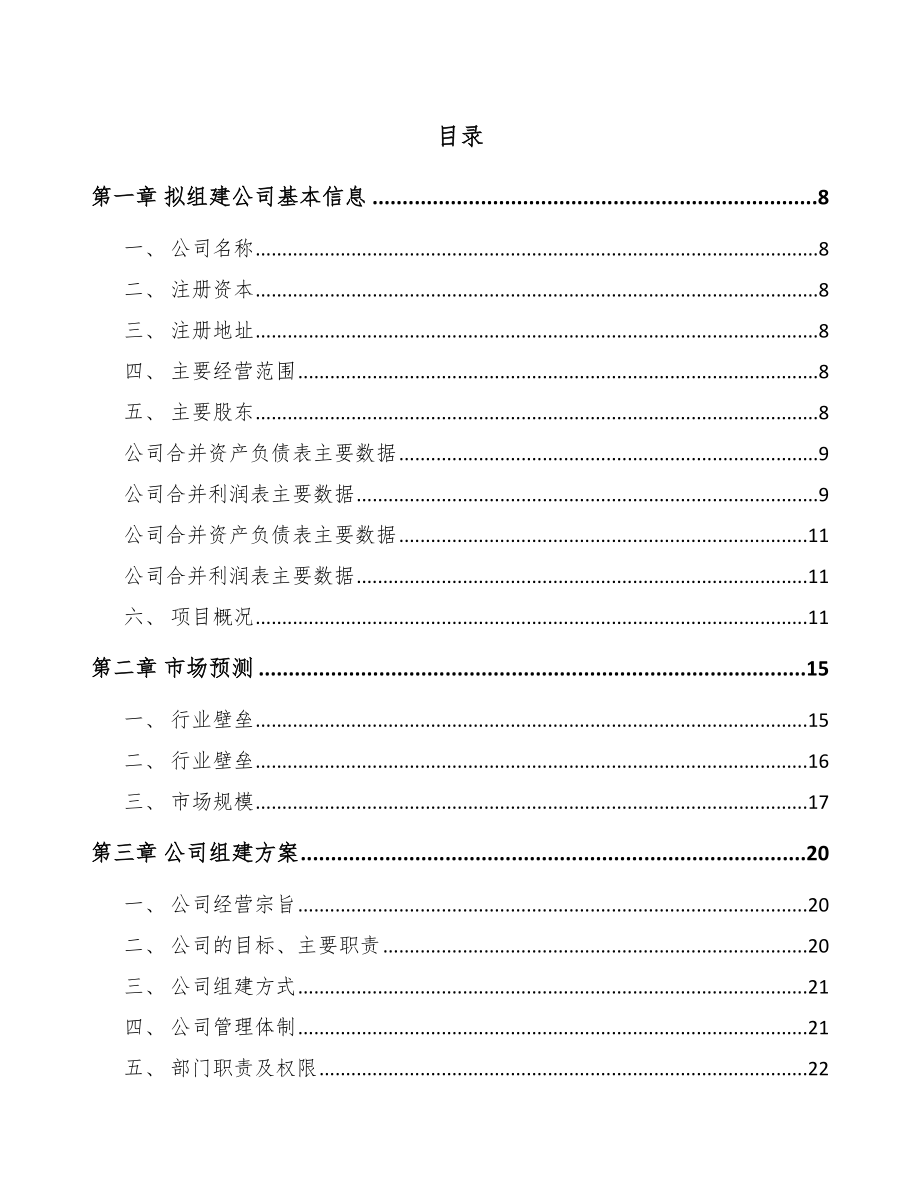 某某关于成立锂离子电池公司研究报告_第2页