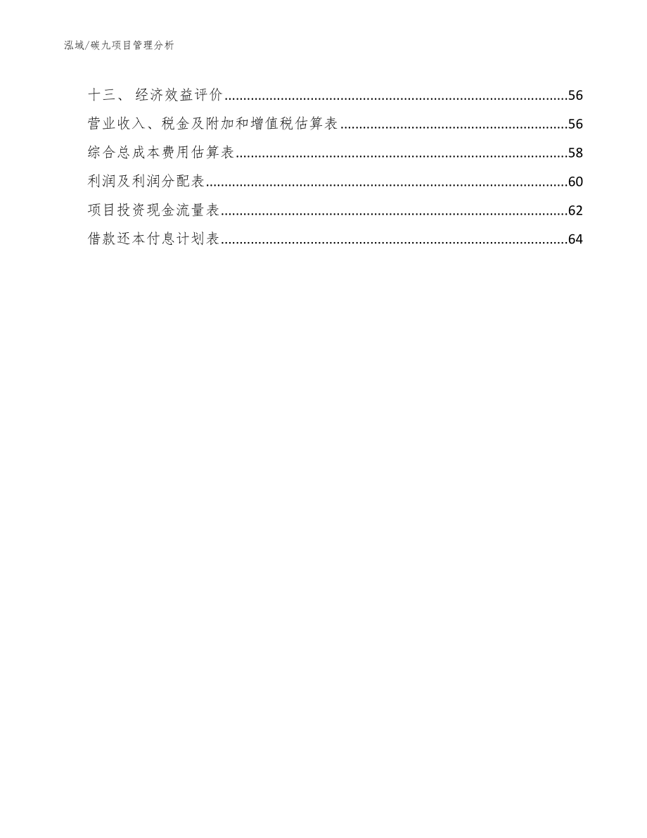 碳九项目管理分析_参考_第2页