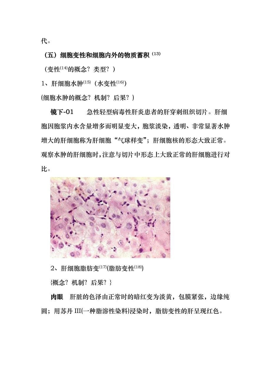 细胞、组织的适应与损伤_第5页