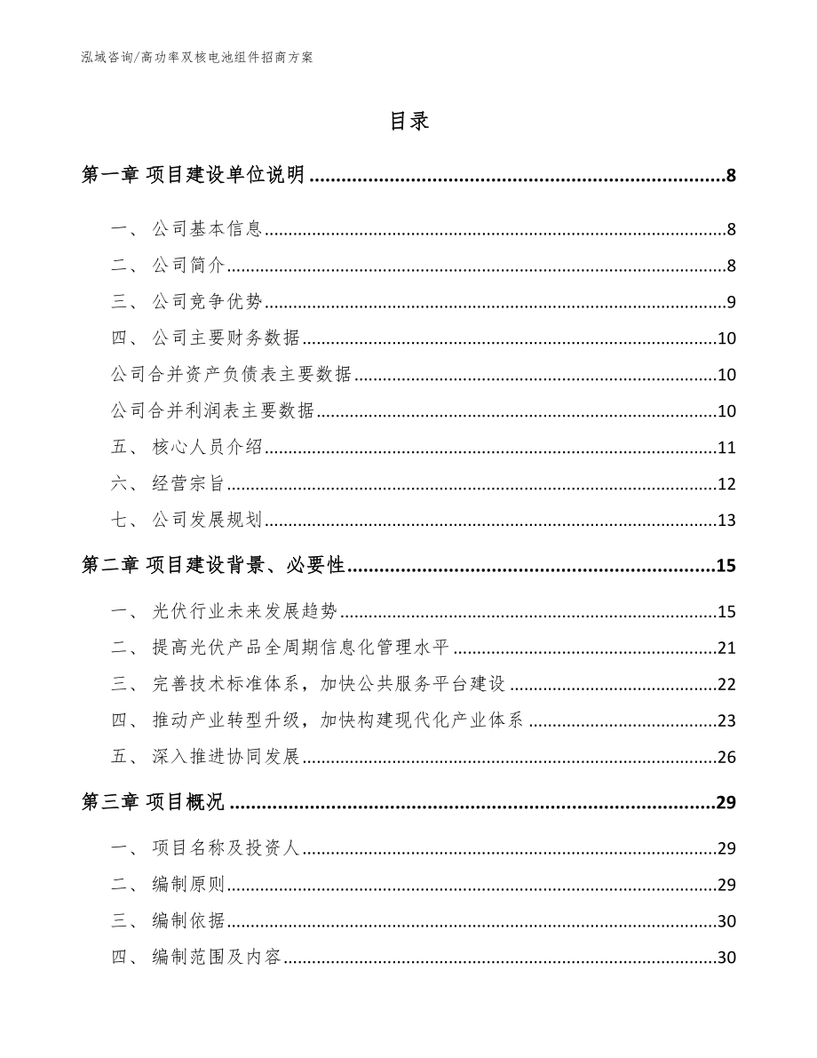 高功率双核电池组件招商方案（参考范文）_第1页