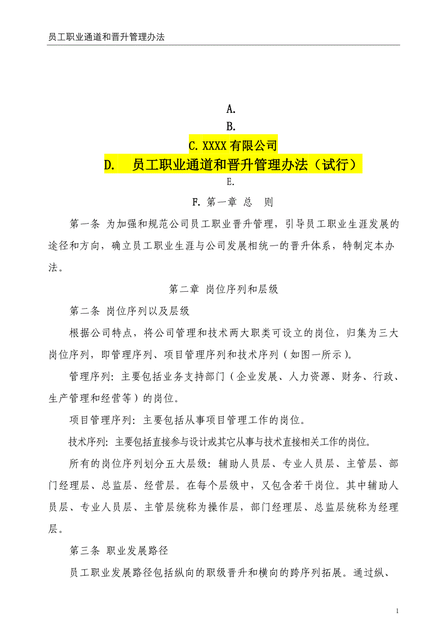 XXX有限公司员工职业通道和晋升管理办法_第1页