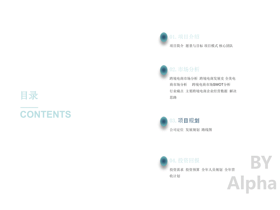 跨境电商商业计划书_第2页