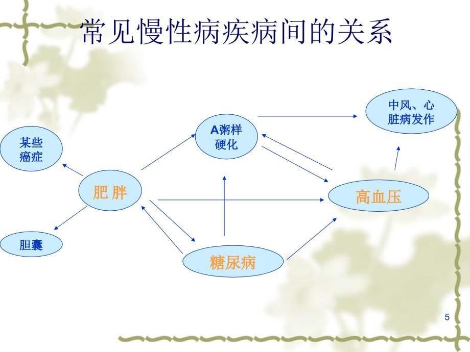 慢性非传性疾病的预防与控制_第5页