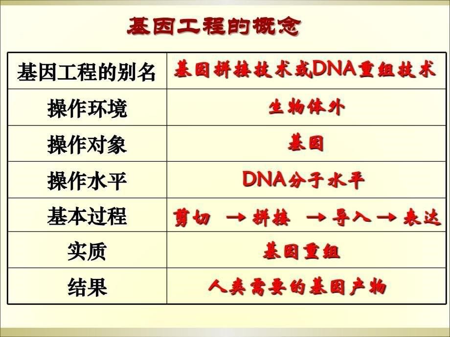 基因工程的基本工具(公开课).ppt_第5页