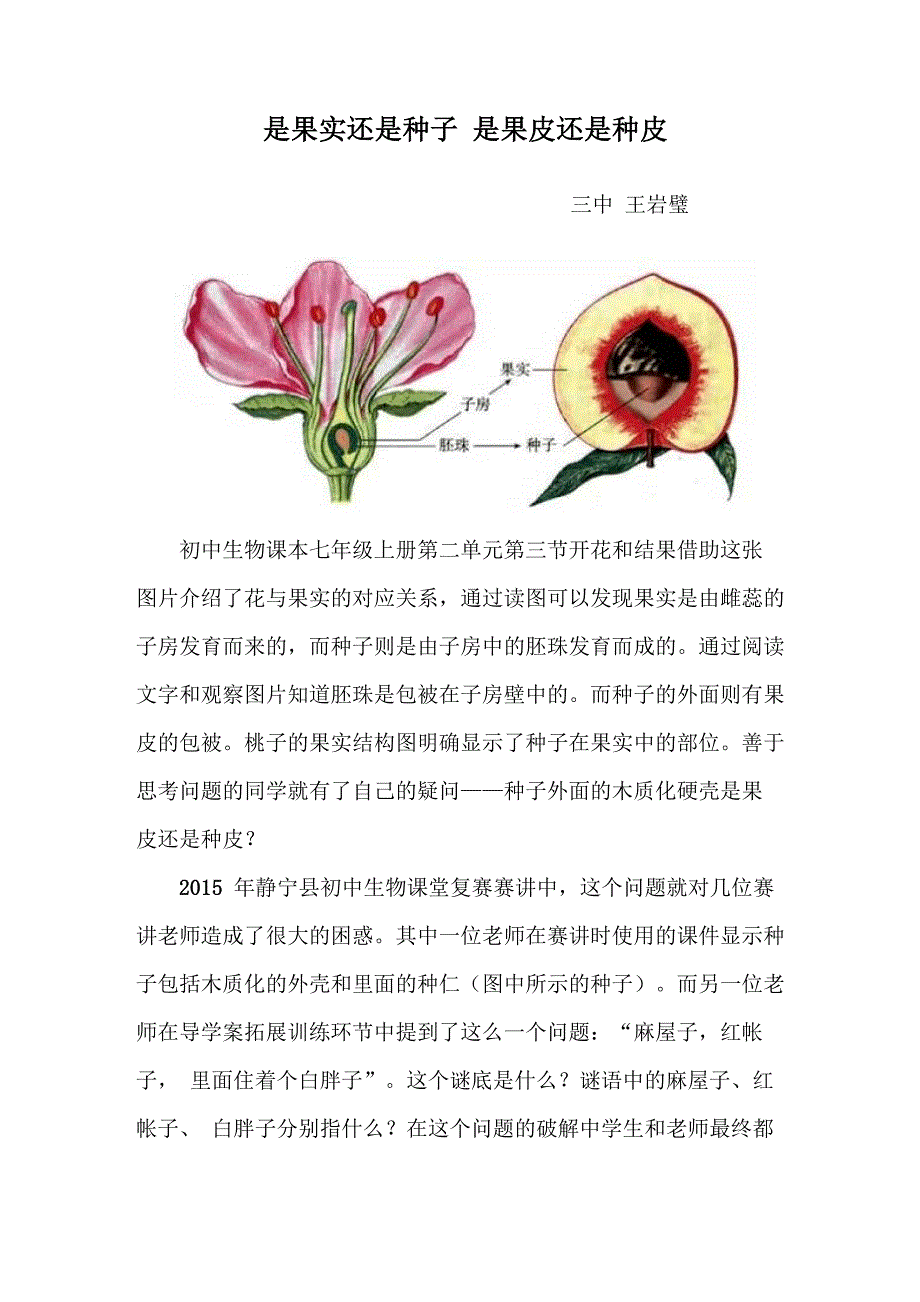 是果实还是种子 是果皮还是种皮_第1页